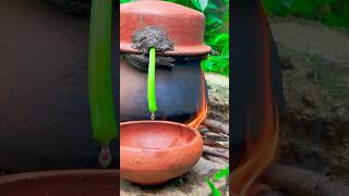 Ferment watermelon into wine - only 3 ingredients | #shorts #wine #video