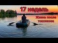 17 недель | Жизнь после токсикоза есть