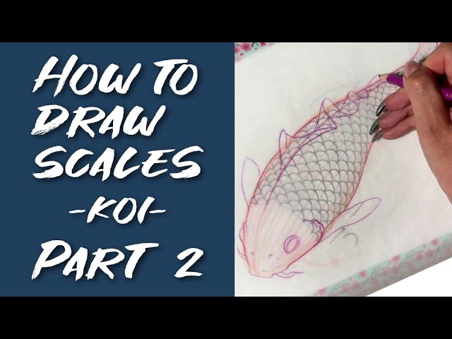 Episode 8: How to draw SCALES (Koi) - Part 2 