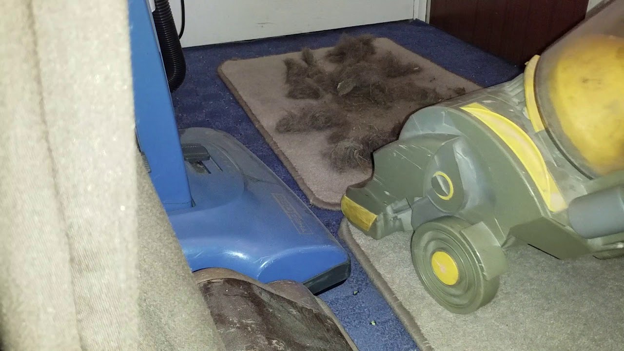 Triple Treat Mess Tests! Dyson DC01, Kirby G6 Hose and Zip Brush, and