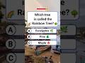 Which tree is called the Rainbow Tree? #quiz #usa #shorts
