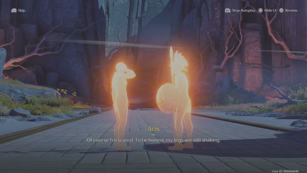 Wuthering Waves Prints of Plateaus