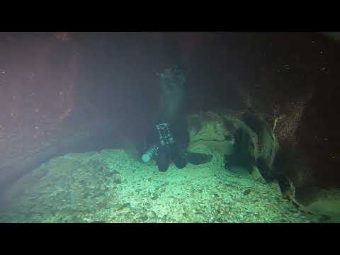 Buceo en el Pozo Azul / Diving in the Pozo Azul 14/01/2023