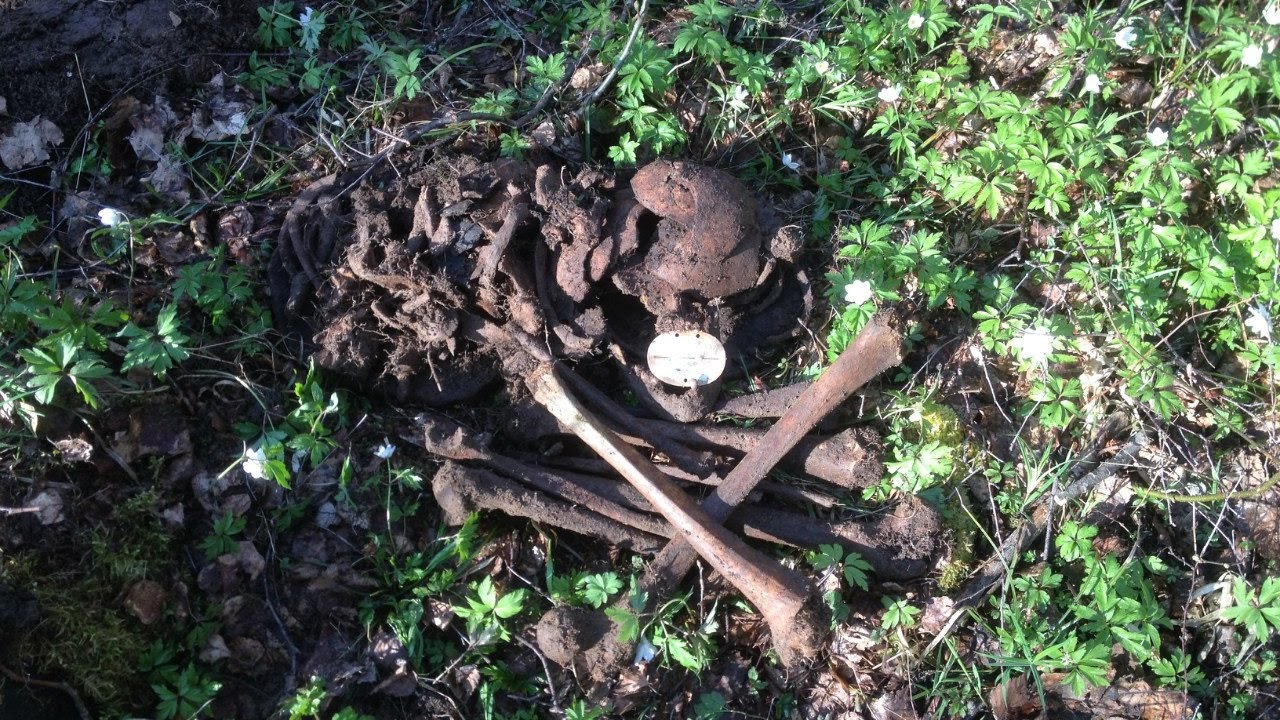 Zonder / на раскопе трех немецких солдат #11/ on the excavat.