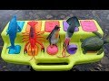 Pop Up Toys Sea Creatures Names Learn Colors For Fun Kids Safari Zoo Animals Toy Videos For Children