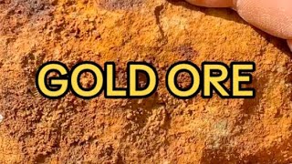 Colorado Gold ore! gold ore hunting and exploration.