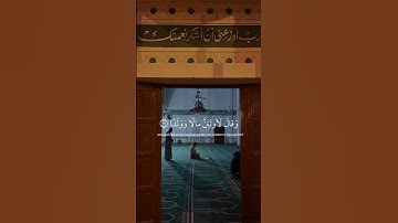 ﴿ افرأيت الذّي كفر بآياتِنا وقال لأوتين مالًا وولدا ﴾ سوره مريم، عبدالرحمن مسعد #ارح_قلبك #قران_كريم