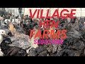 Village hen&#39;s farm || 400 hen&#39;s village animals ||