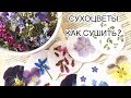 🌸КАК СУШИТЬ ЦВЕТЫ🌸 2 СПОСОБА СУШКИ ЦВЕТОВ: В КНИГЕ , В МАНКЕ🌸 PIECE OF SUMMER🌸