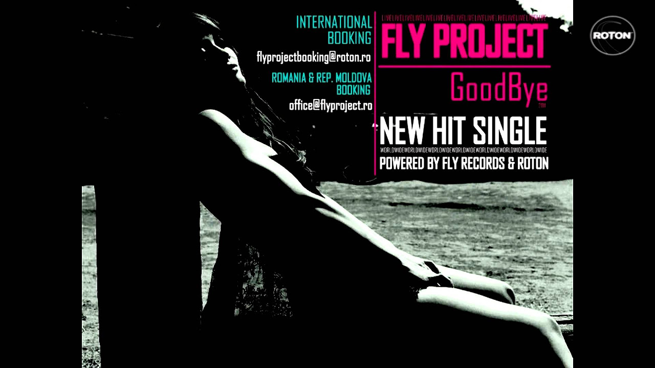 Fly Project - Goodbye