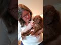 Josie and Archie 'S' Litter Five Weeks