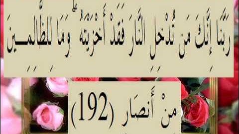 القران الكريم سورة آل عمران الأية 192
