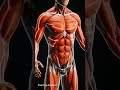 Anxiety Attack Explained Inside the Human Body #AnxietyAttack #MentalHealth #MedicalCGI #BodyInside