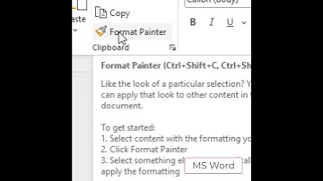 MS Word-opmaak kopiëren