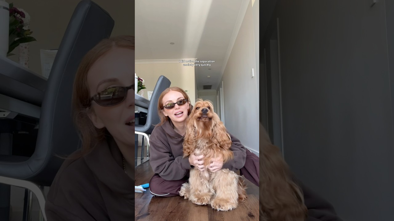 We all know Alfie is a velcro dog, ​⁠​⁠