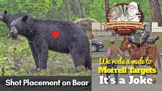 VLOG #12: Four Tips for Shot Placement on Bear (Rode a Mule to Morrell Targets..It's a JOKE)