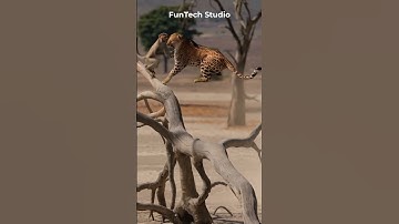 😱Monkey Vs Jaguar Fight #animals #animal #animallover #shorts #short #shortvideo #monkey #wildlife
