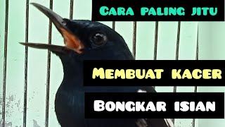 Cara Membuat Kacer Bongkar isian
