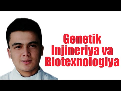 Video GENETIK INJINERIYA VA BIOTEXNOLOGIYA | ГЕНЕТИК... - youtube