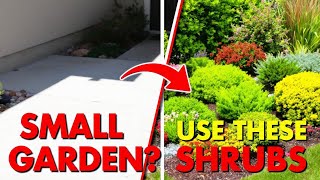 "10 Small Shrubs That Will Fit In Any Garden"