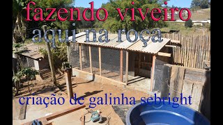 viveiro na roça by Anésio M. V. B 316 views 9 months ago 24 minutes