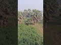 View 🫠 #punjabisong #newsong #love #movie #ytshorts #viralvideo