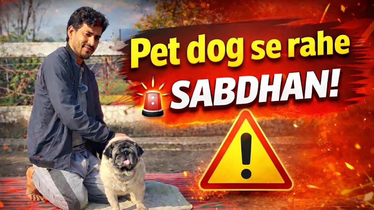 Information Lelo Ek pet Dogs ki 🐕🙏