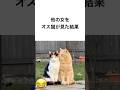 他の女をオス猫が見た結果