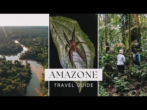 AMAZONE COLOMBIA TRAVEL GUIDE ft. Where to stay & things to do