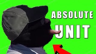 LICKING GUY IS THE GREATEST YOUTUBER OF ALL TIME
Licking Guy is without a doubt, the greatest YouTuber on this platform. And heres why.
Licking Guys YouTube - https://www.youtube.com/channel/UCU9Q7_nCcMnJJ-5Lb7nKppw
JOIN MY DISCORD!: https://discord.gg/JXmE5XG
Twitter: http://twitter.com/flowmotionyt
Snapchat: flowmotionyt
Instagram: https://instagram.com/flowmotion97
Music Project: https://soundcloud.com/mountswift
My Record Label: http://soundcloud.com/darkerskieslabel
Donate?: http://paypal.me/flowmotion97
Business Inquires: benvazquezbusiness@gmail.com
Outro song: enesai - empty
#lickingguy #best #youtuber LICKING GUY IS THE GREATEST YOUTUBER OF ALL TIME