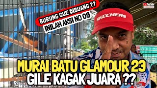 AMPUN BURUNG GUE KAGAK JUARA 09😱❓MURAI BATU GLAMOUR 23|| GIMANA SIH? DIPO TEAM#kicaumania#muraibatu