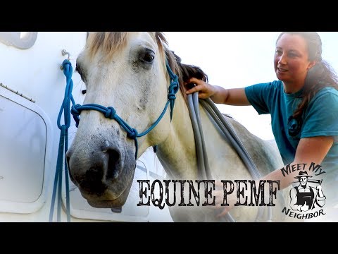 Equine PEMF - Pulsed Electromagnetic Field Therapy for Horses (Meet My Neighbor)