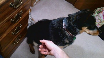 8th Grade Math Chapter 10 Section 1 Scatter Plots