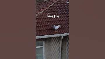 سورة_الأنبياء الآية97 …. يوم لا ينفع الندم.