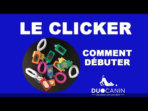 le-clicker-:-comment-débuter-l'entrainement-avec-votre-chien---tutoriel