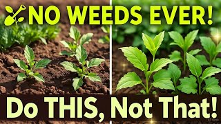 Stop Pulling Weeds FOREVER! The Secret Garden Trick That Keeps Beds Weed Free All Year