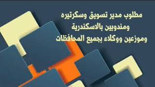 مطلوب مدير تسويق وسكرتيره ومندوبين بالاسكندرية وموزعين ووكلاء بجميع المحافظات  جريدة الوسيط