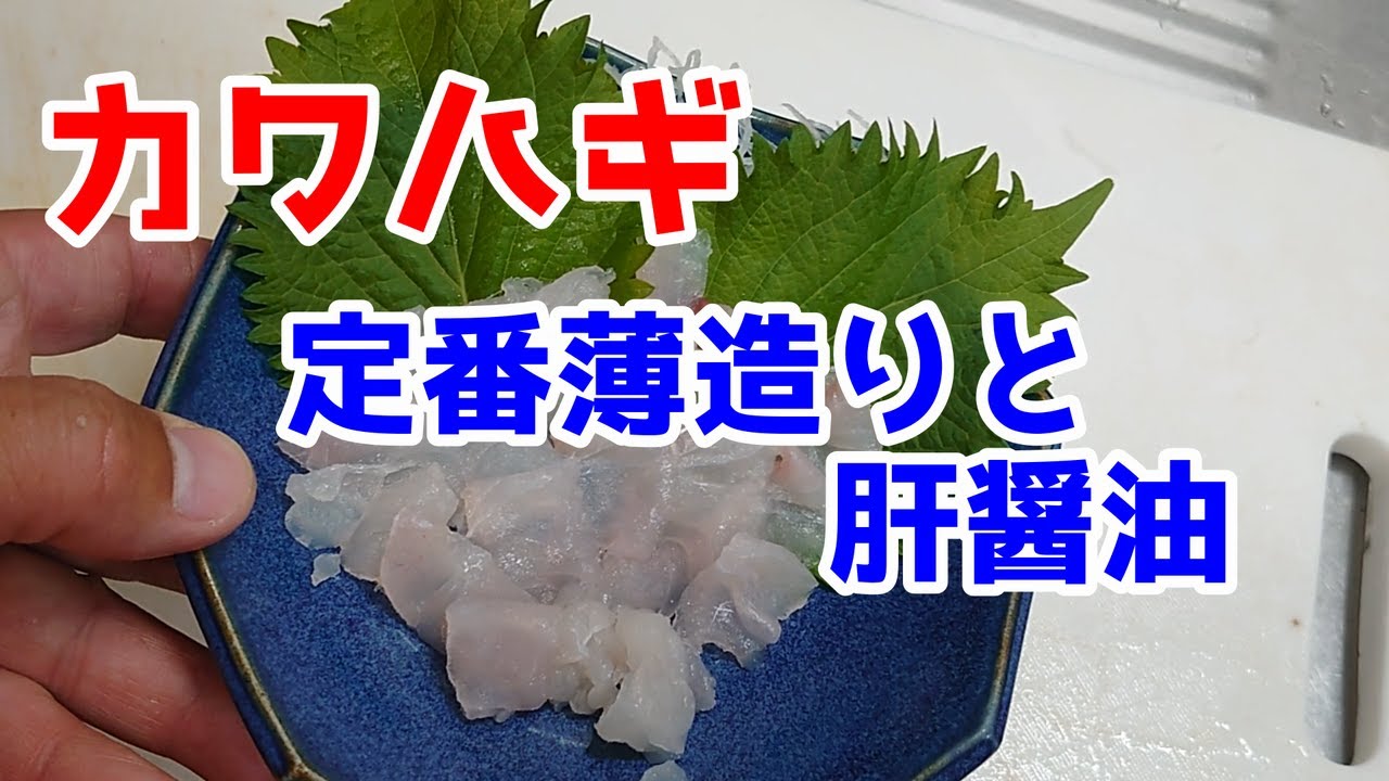 カワハギ 定番薄造りを肝醤油で食べる Youtube カワハギ 定番薄造りを肝醤油で食べる Youtube