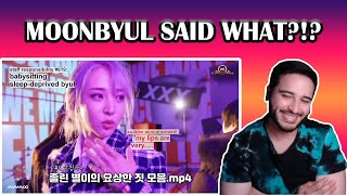 MAMAMOO FUNNY COMPS by MEMEMOO REACTION!