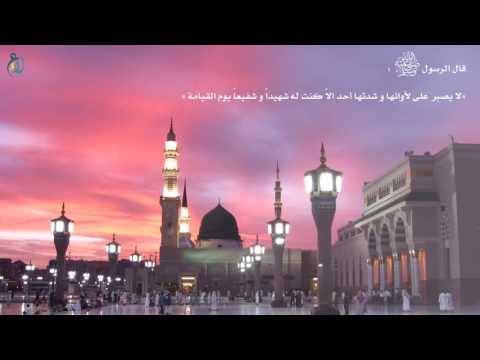 فضل الصبر على شدة المدينة لفضيلة الشيخ د حسن بخاري عضو هيئة التدريس بجامعة أم القرى