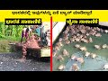 Unbelievable farming in the world  mysteries for you kannada