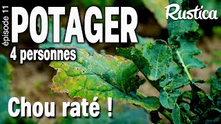 Potager pour 4 Personnes -11 Mauvaise année pour les choux