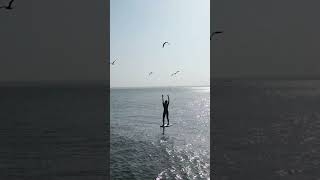 Taking flight with birds on an endless wave #shorts