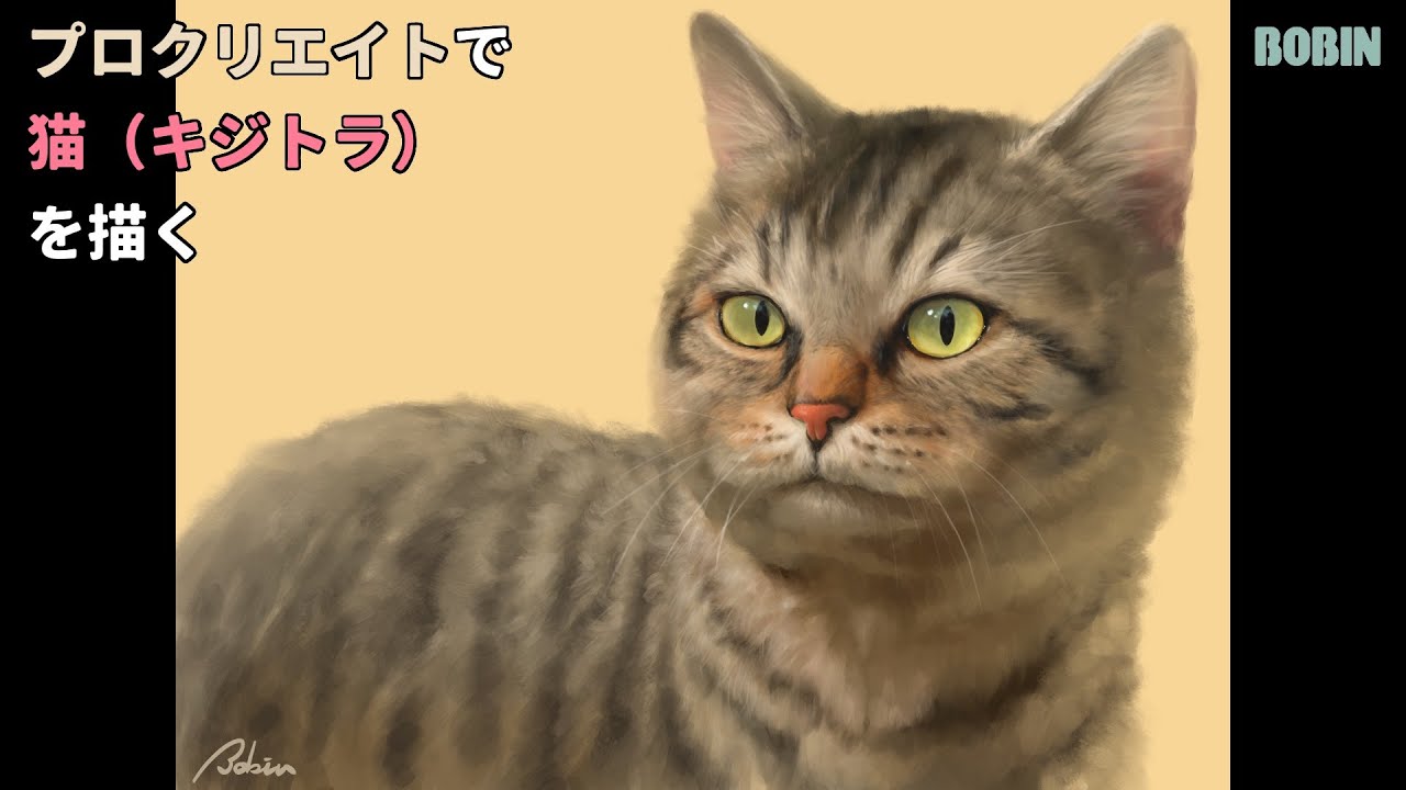 プロクリエイト/iPad Pro】猫（キジトラ）を描く【デジタルイラスト