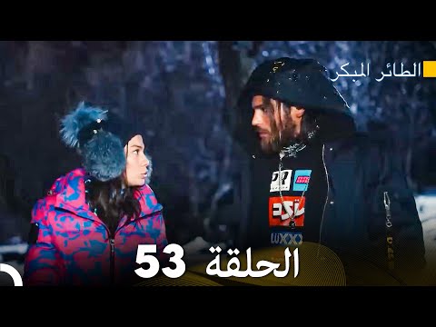 مسلسل الطائر المبكر الحلقة 53 دوبلاج عربي