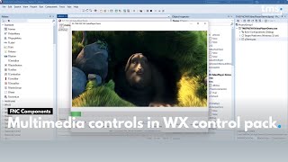 Multimedia controls in TMS FNC WX Pack screenshot 2