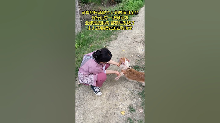 可憐的小柯基被主人折磨得面目全非，沒有壹塊好地方，都潰爛發炎了，主人還要把它送去狗肉館 - 天天要聞