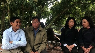 Hai anh đẹp trai hai gái xinh đẹp hát shi cực hay tại đám cưới sơn Hải lục ngạn 24/2/2023 (â l)