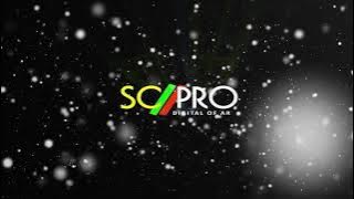 hidung belang - sk amanda