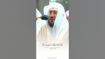 أجمل من رتل الفاتحة🥺❤ | تلاوة هادئة تزيل الهموم للشيخ د. بندر بليلة